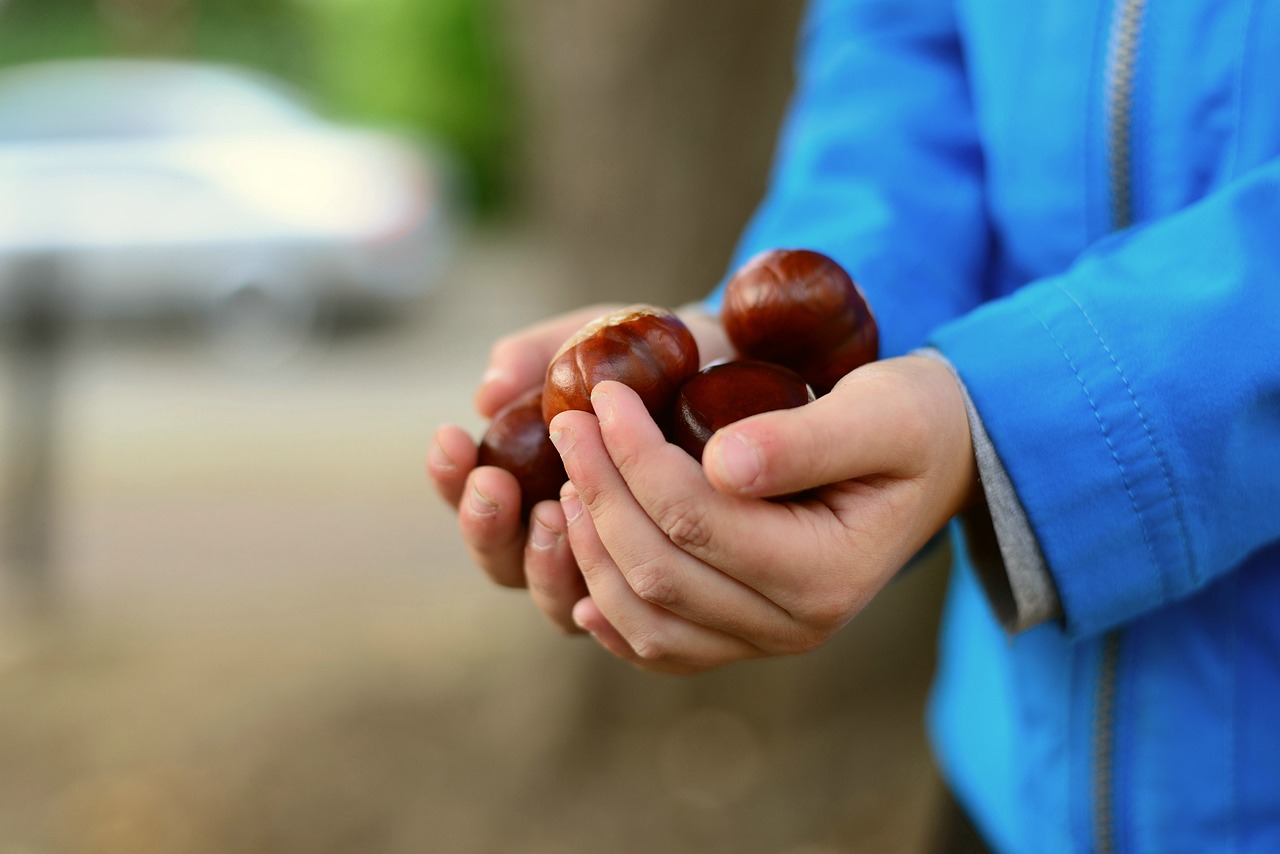 Helfer Stab Kastanien Herbst HARIBO KastanienAktion GutesTun Grafschaft