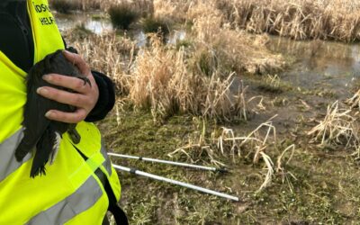 Ölkatastrophe in den Thürer Wiesen – Wildtiere brauchen Hilfe